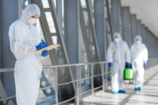  Forest, OH Mold Removal Pros