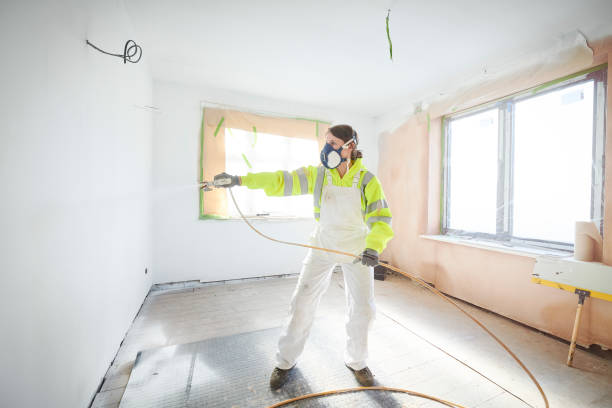 Best Mold Damage Restoration  in Forest, OH