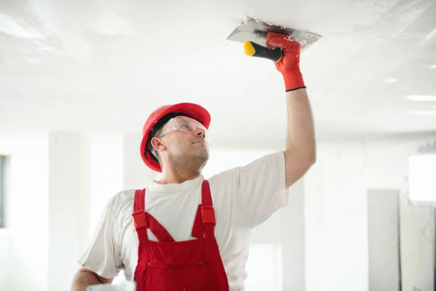 Professional Mold Removal in Forest, OH