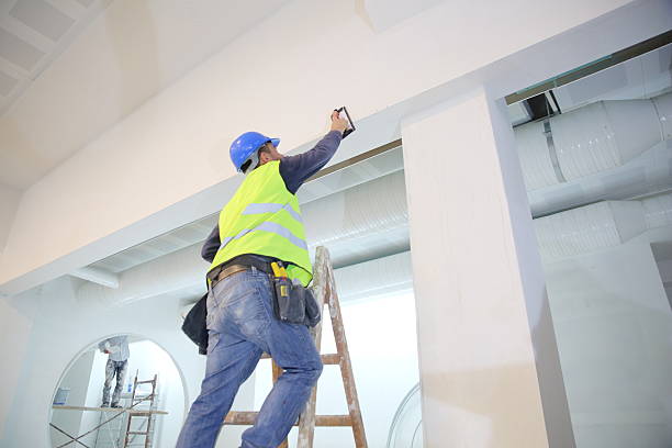 Best Emergency Mold Remediation  in Forest, OH