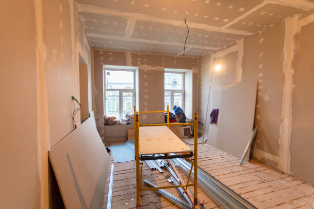 Best Black Mold Removal  in Forest, OH