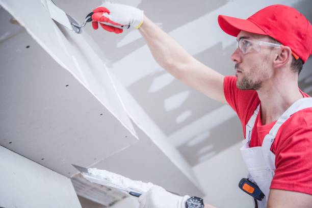 Best Water Damage & Mold Remediation  in Forest, OH